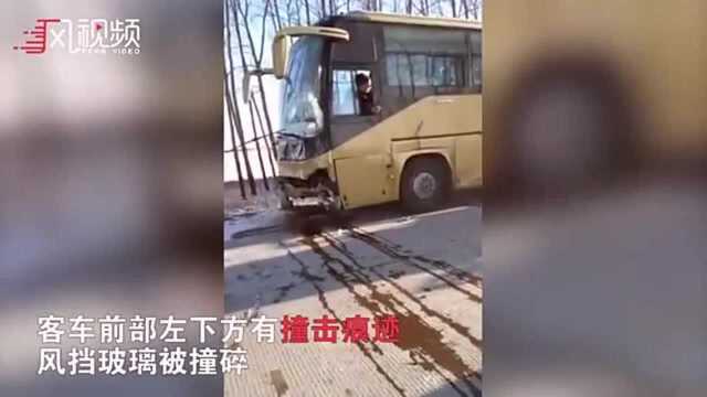 哈尔滨面包车与客车相撞致7人死亡,行车仪曝光撞击瞬间