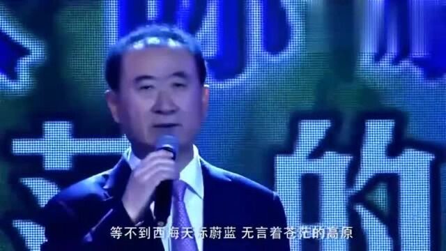 王健林现场挑战刀郎《西海情歌》,以为很一般,不想开口被惊艳了