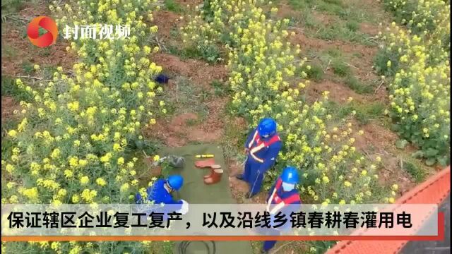 四川南充:三月花田里电力春检忙