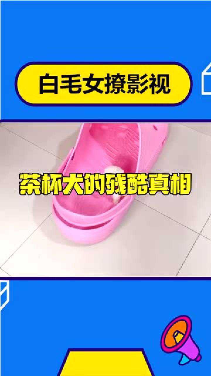 为你推荐自动连播00:56带狗子去挖春笋石头秀说农00:12看着好可怜,小