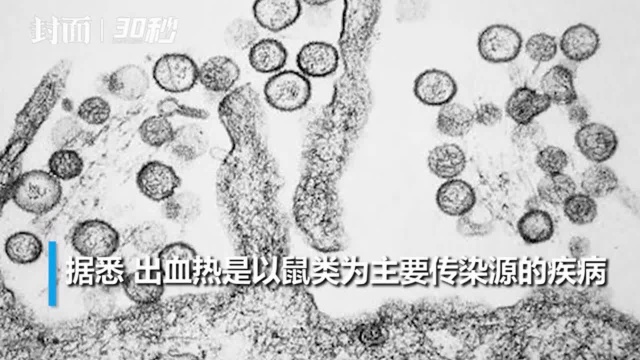 30秒丨复工包车1名务工人员病亡 经检测死因系出血热