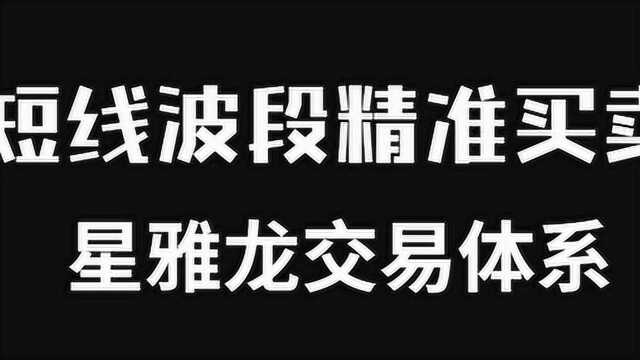 【星雅龙系统教学】趋势追踪压力与支撑技术讲解买卖点选择技巧