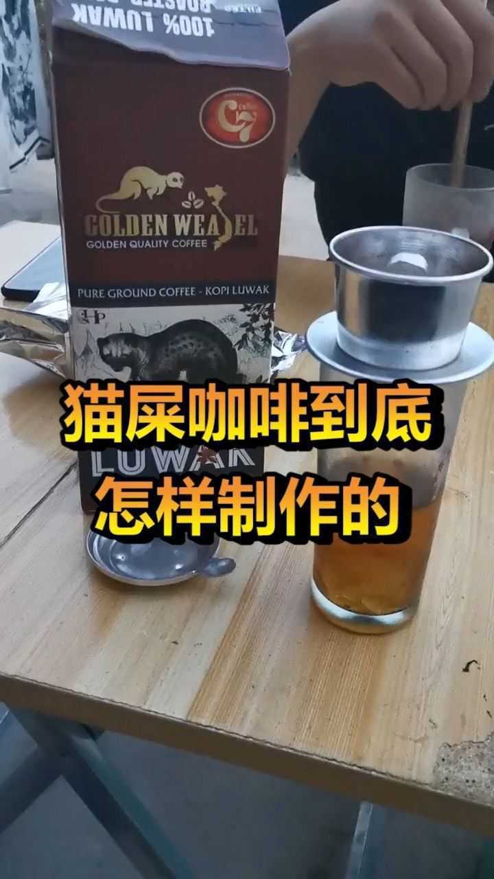 猫屎咖啡由来,看了麝香猫承受的折磨,再也不想喝了!