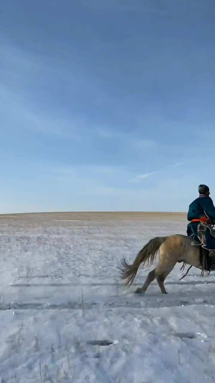 我们内蒙古蒙古族汉子都骑马飞奔在草原上