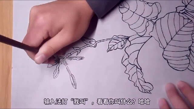 画画教学,零基础学习白描画,轻松掌握!