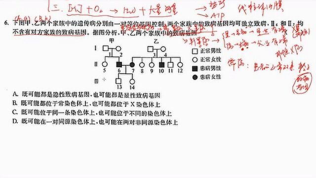 一道易错的人类遗传系谱图题目