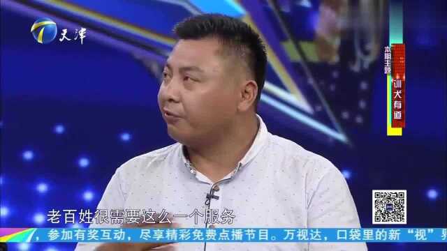 葡萄牙水猎犬被“中国训犬第一人”训得乖巧,主持人称:想发红包