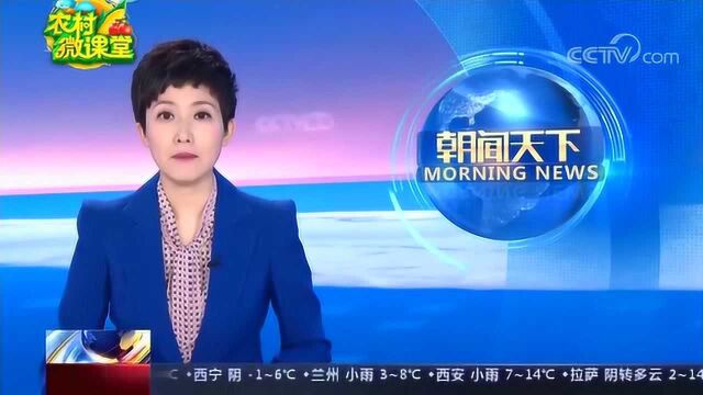 4.7微课堂头条 财政部积极支持小微企业和“三农”主体融资增信