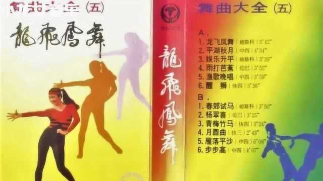 舞曲大全(五)龙飞凤舞 听过的都老了