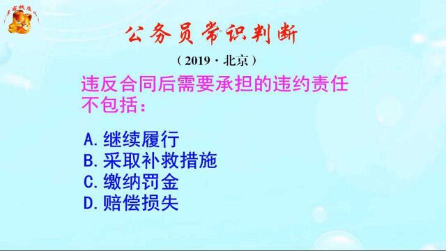 公务员常识判断,违反合同需承担的违约责任不包括哪些?你知道吗