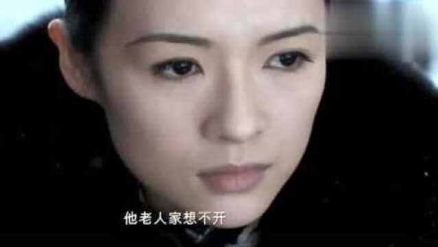 宫二真是个刚烈女子,退掉婚约断发发誓终身不嫁,只为替父报仇!