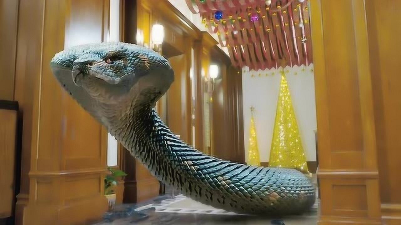 变异狂蟒面对这样的巨蟒你们害怕么反正我慌了