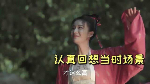 《清平乐》张贵妃上位记,帝妃线开启啦!