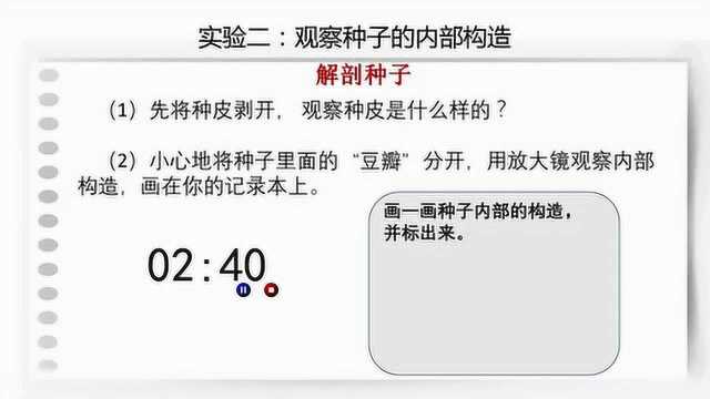 四年级《种子的萌发》沈瑶丽