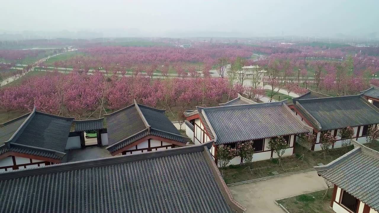 固镇樱花园中国排名图片