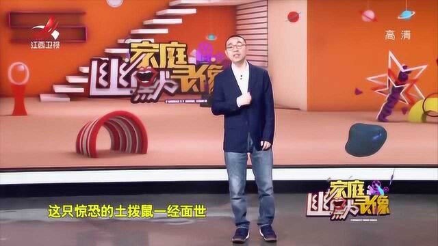 这届网友脑洞非凡,野生动物摄影照让他们“玩坏了”