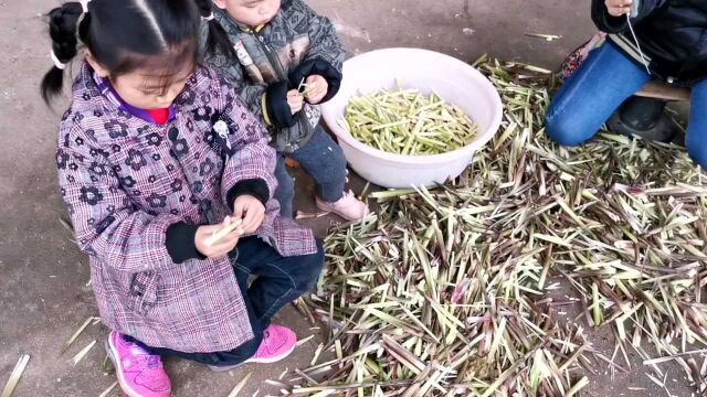 高手是这样剥小竹笋的,又快又轻松,几秒钟就剥一根