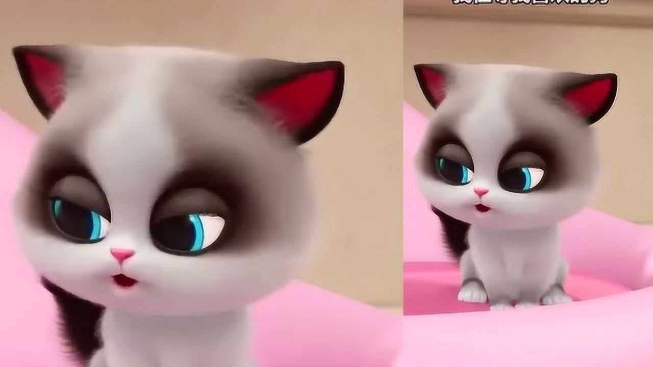 飞狗moco:小公举,你喜欢的狗究竟是谁呀!