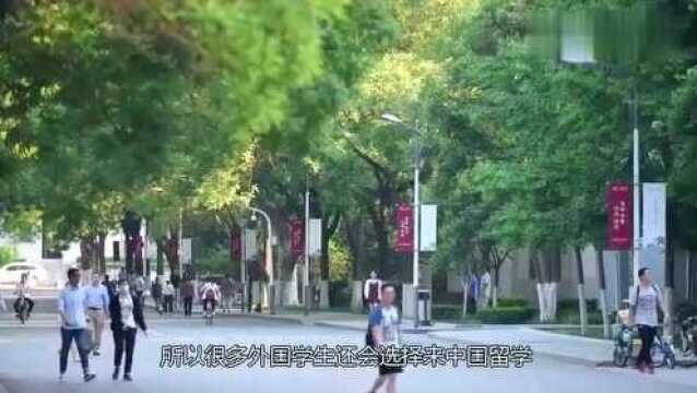 越南女大学生在中国留学两年,回去后抱怨太不方便,想要回中国