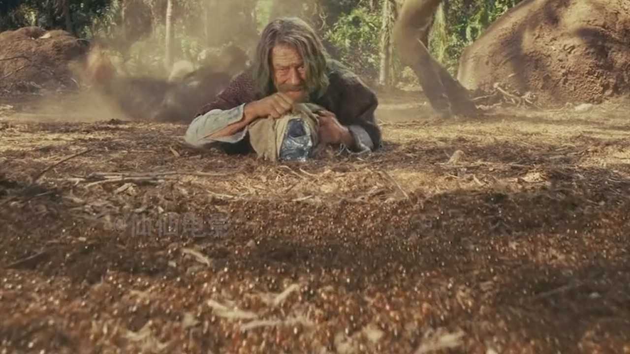 夺宝奇兵4中的食人蚁现实中真的存在吗太惊悚了