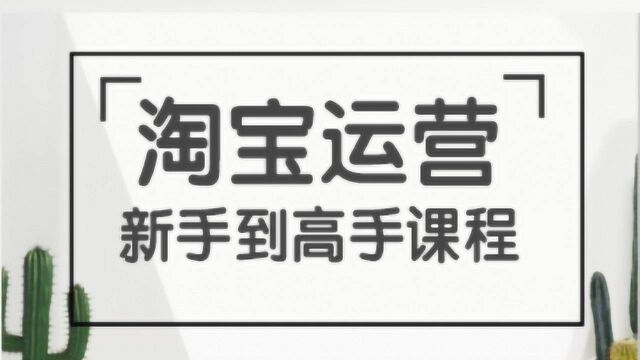 2020最新淘宝开店教程全集 如何开淘宝店