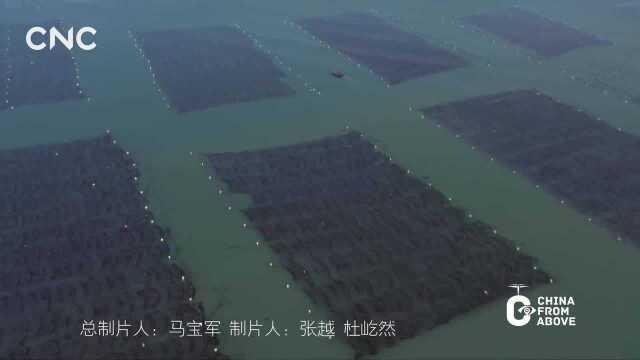 瞰中国|福建漳州:水墨东山