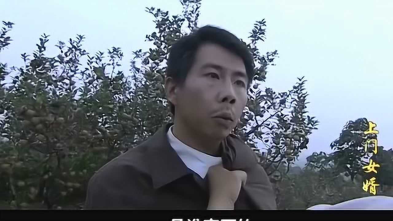 上门女婿马四辈一拳打倒陈斌解气