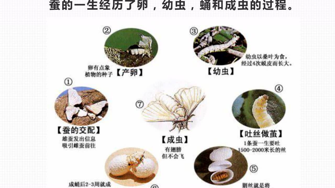 腾讯视频-中国领先的在线视频媒体平台,海量高清视频在线观看