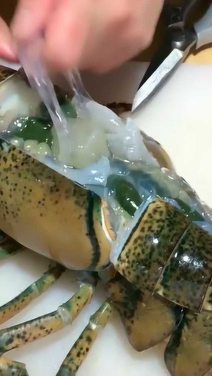 原来龙虾的血和心长这样子,居然都是透明的,长见识了!