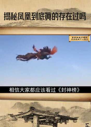 揭秘凤凰到底真的存在过吗 ?