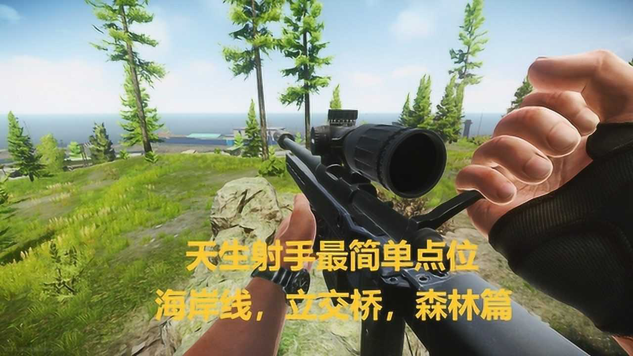 逃離塔科夫天生射手最簡單點位海岸線立交橋森林篇