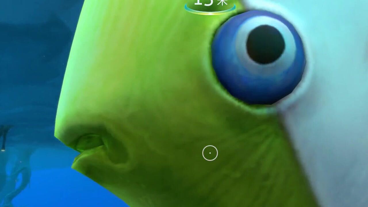 楚河遇上奇特的圈圈鱼竟还能补充氧气