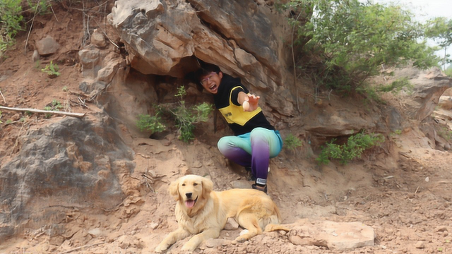 【田野小亮】-记录与狗狗的农村生活