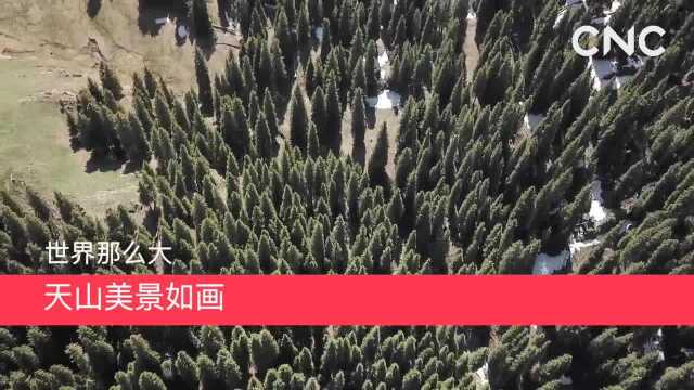 世界那么大|天山美景如画