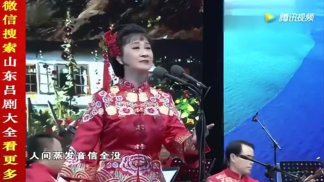 吕剧《对门亲家》都怪我不明真相 焦黎