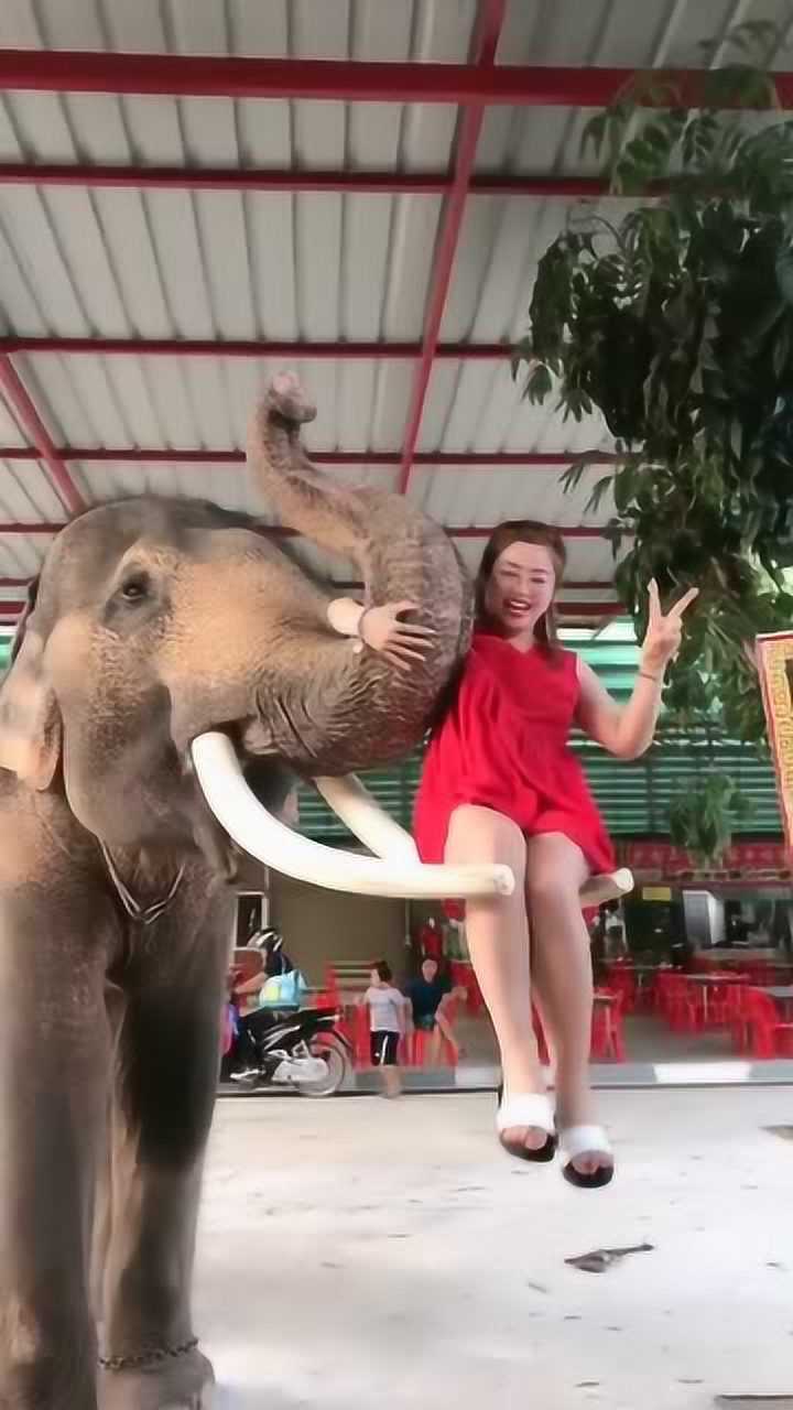 大象太调皮拿鼻子把人卷起来美女都吓坏了