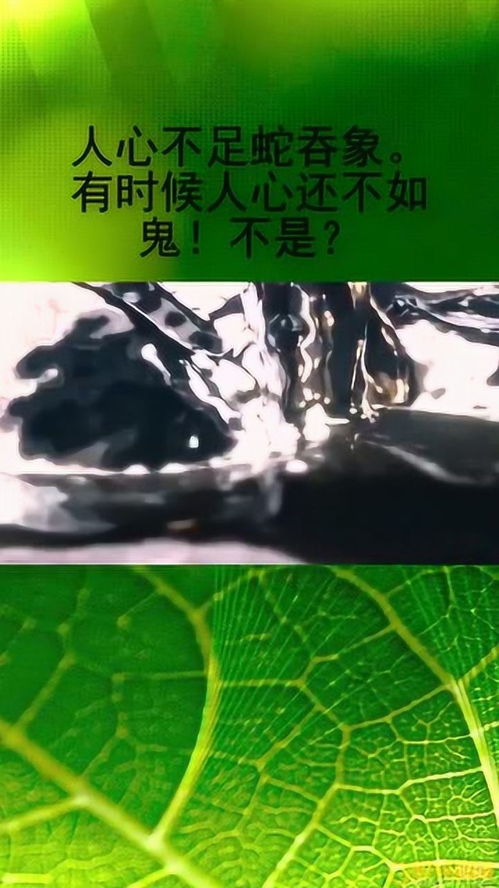 人心不足蛇吞象,有時候人心還不如鬼!不是?