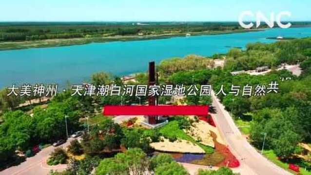 大美神州ⷥ䩦𔥮Š潮白河国家湿地公园 人与自然共和谐