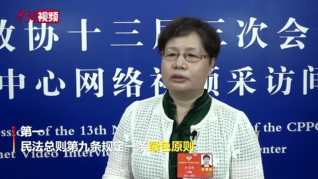 吕忠梅解读“绿色”民法典:破坏环境违法成本将提高