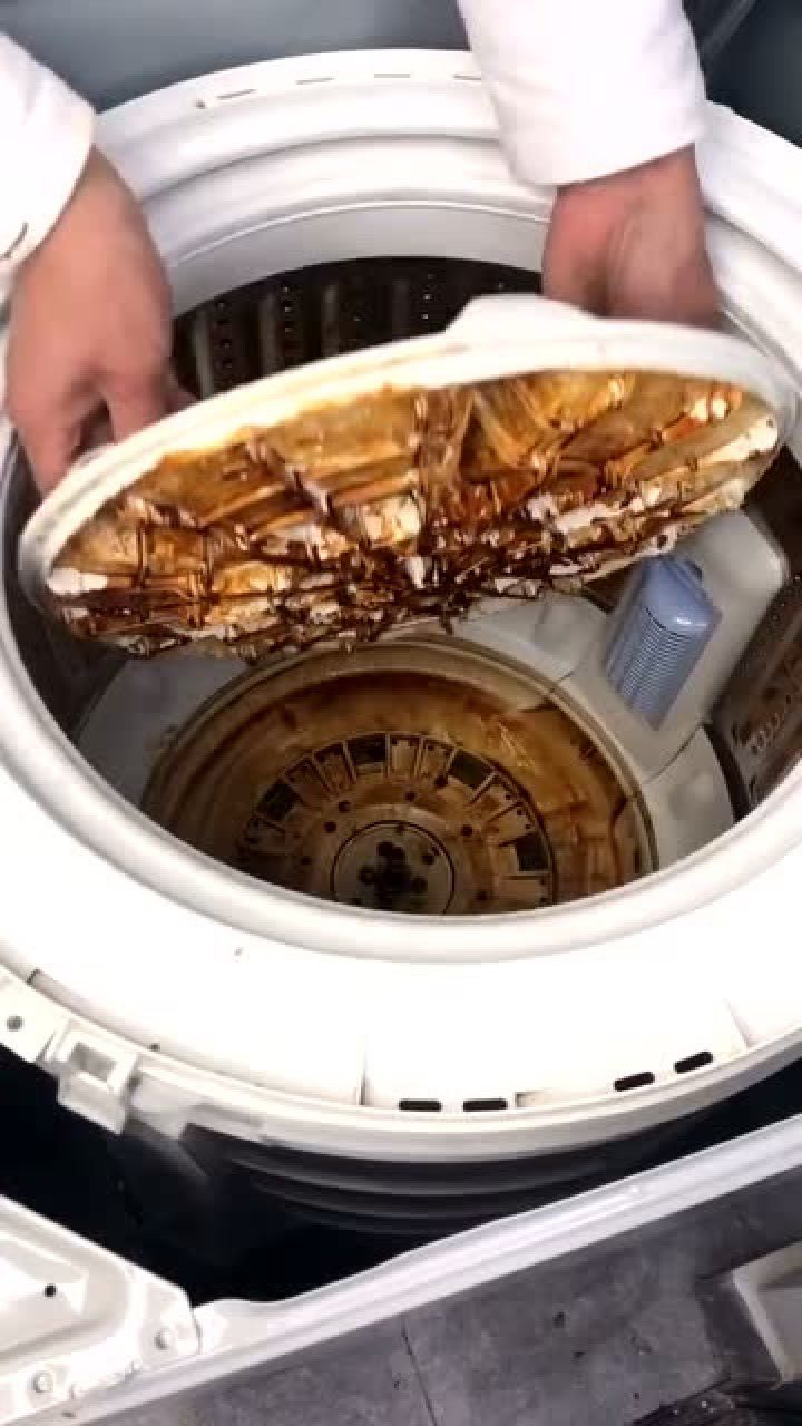 清洗洗衣机的方法 腾讯网