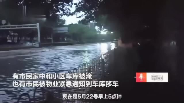 广州突发大暴雨全城被淹,市民凌晨3点挪车,一水果市场损失过亿