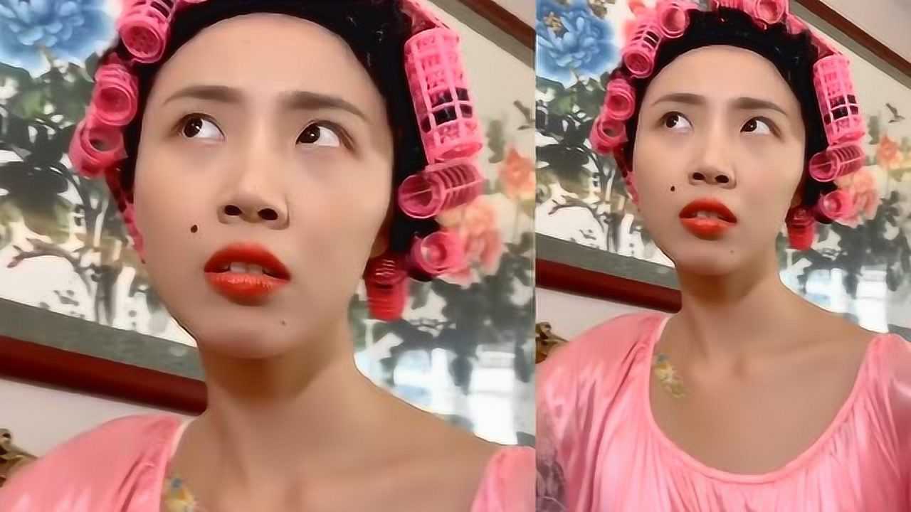 神探包租婆包租婆最爱的衣服被咬了个洞原来都是这只猫闯的祸