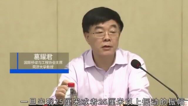 东莞虎门大桥恢复通车,专家:倘若振幅达25厘米以上将再进行封桥