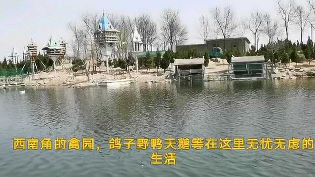 东营市清风湖初春景色,山东省最大的城市公园