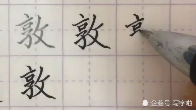 硬笔书法:每日一字――“敦”