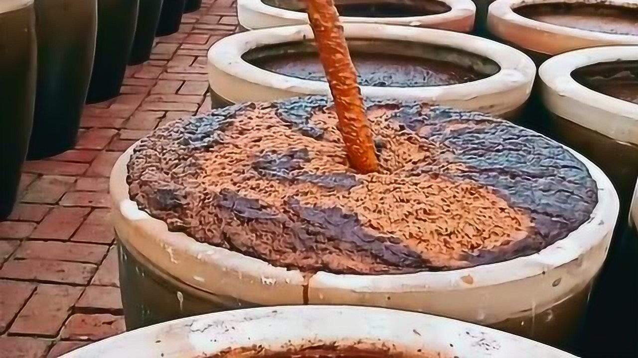 东北大酱的发缸过程,看着有些让人反胃,但吃着却很香!