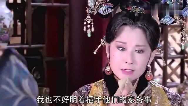 大福晋排挤美璃,老祖宗出这招帮助母子俩!姜是老的辣