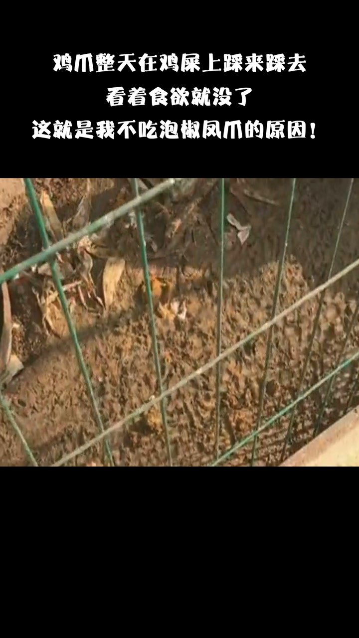 厉害了鸡爪整天在鸡屎上踩来踩去看着食欲就没了谁发现亮点在哪呢
