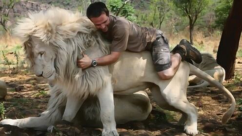 10年前男子救下小狮子，如今去动物园中探望，结果狮子猛扑过来！