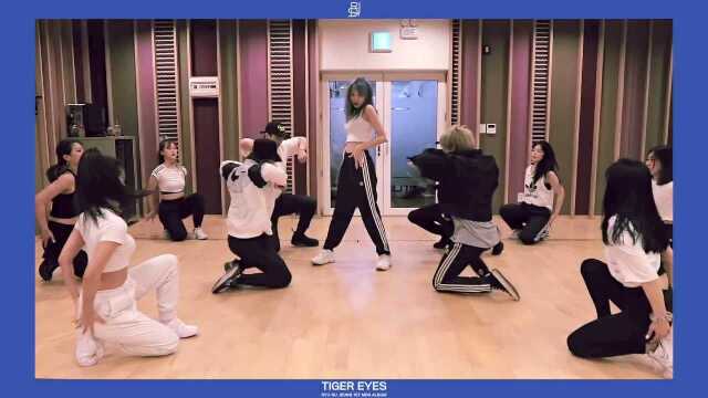 LOVELYZ 柳秀静《Tiger Eyes》练习室